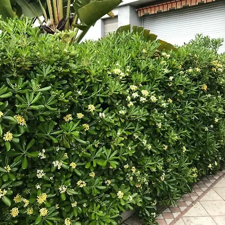 Apartamento Tanagra